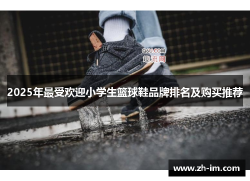 2025年最受欢迎小学生篮球鞋品牌排名及购买推荐 2025年最受欢迎小学生篮球鞋品牌排名及购买推荐