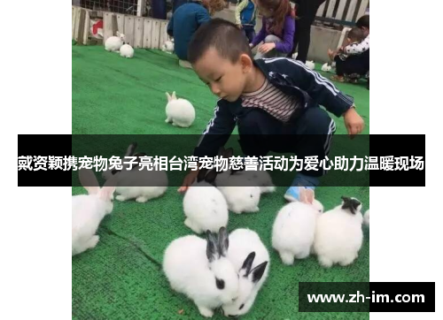 戴资颖携宠物兔子亮相台湾宠物慈善活动为爱心助力温暖现场