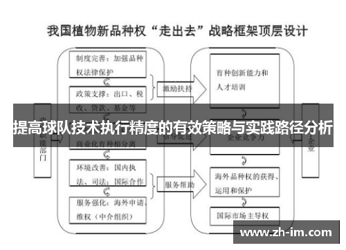 提高球队技术执行精度的有效策略与实践路径分析