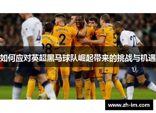如何应对英超黑马球队崛起带来的挑战与机遇 如何应对英超黑马球队崛起带来的挑战与机遇