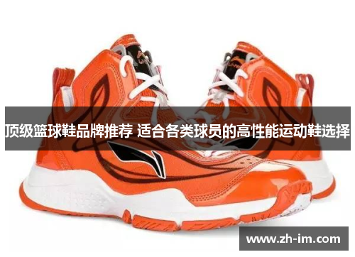 顶级篮球鞋品牌推荐 适合各类球员的高性能运动鞋选择