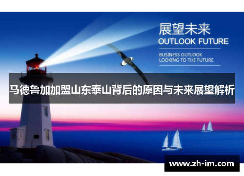 马德鲁加加盟山东泰山背后的原因与未来展望解析