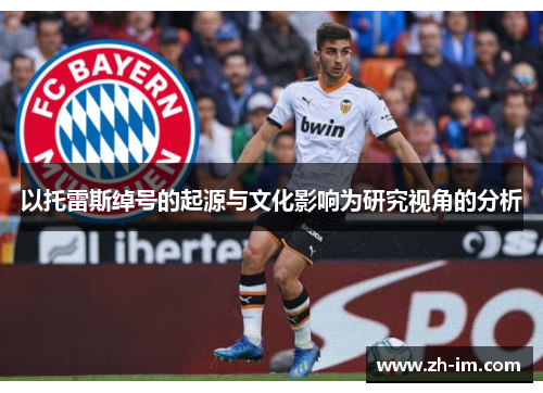 以托雷斯绰号的起源与文化影响为研究视角的分析