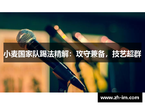 小麦国家队踢法精解：攻守兼备，技艺超群