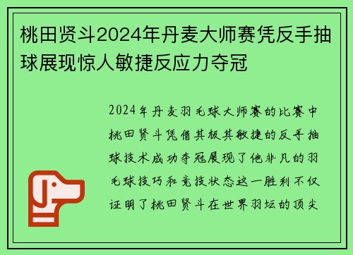 桃田贤斗2024年丹麦大师赛凭反手抽球展现惊人敏捷反应力夺冠